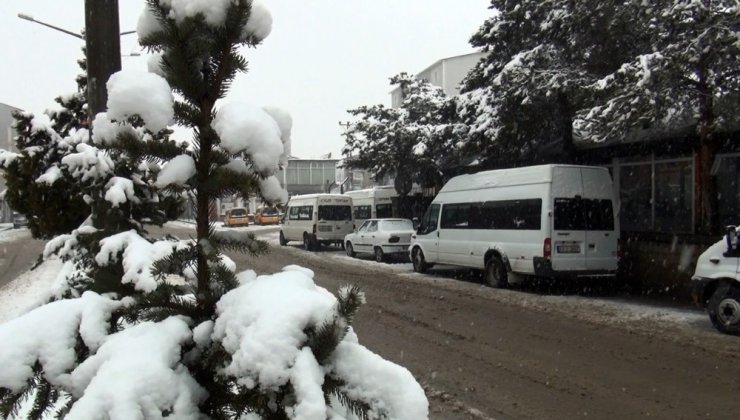 Ahlat’ta kar yağışı