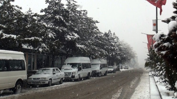 Ahlat’ta kar yağışı