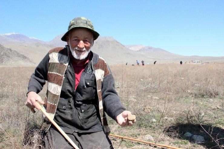 Dolaman mantarı için genci yaşlısı bastonunu alan araziye koşuyor