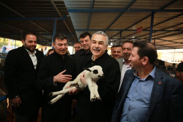 Mustafa Savaş’a dalama hayvan pazarında yoğun ilgi