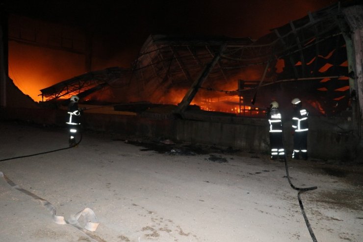 Adana’da narenciye paketleme tesisinde yangın