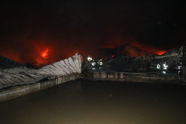 Adana’da narenciye paketleme tesisinde yangın