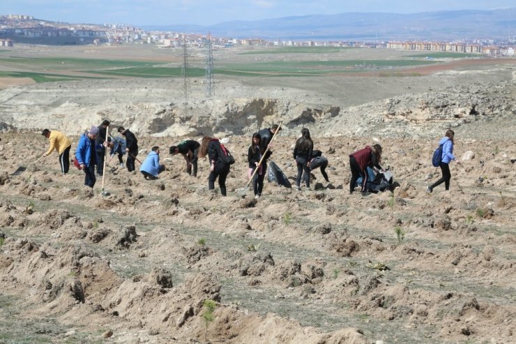 Odunpazarı Belediyesi Ahbap Derneği ile 2 bin 500 fidan dikti