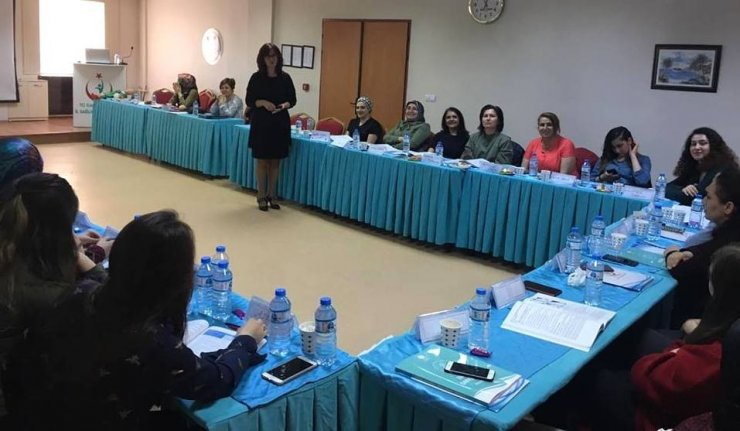 Erzincan’da Anne Sütü ve Emzirme Danışmanlığı Eğitimleri verildi