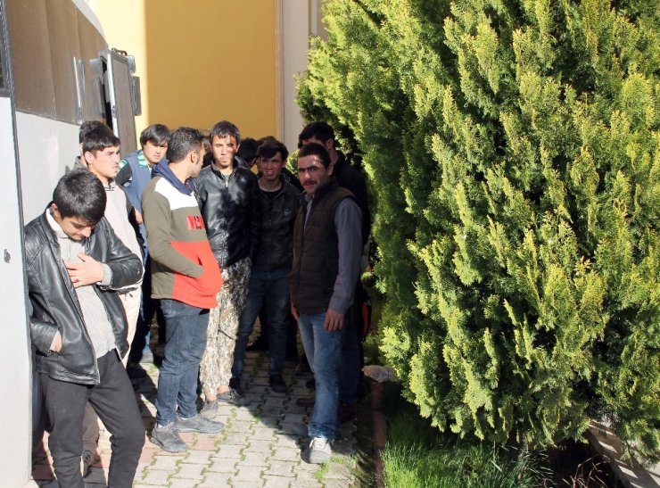 Midyat’ta 35 kaçak göçmen yakalandı