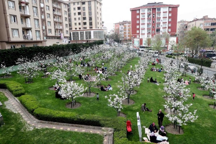 Bağcılarlılar, baharı nostalji bahçelerinde karşılıyor