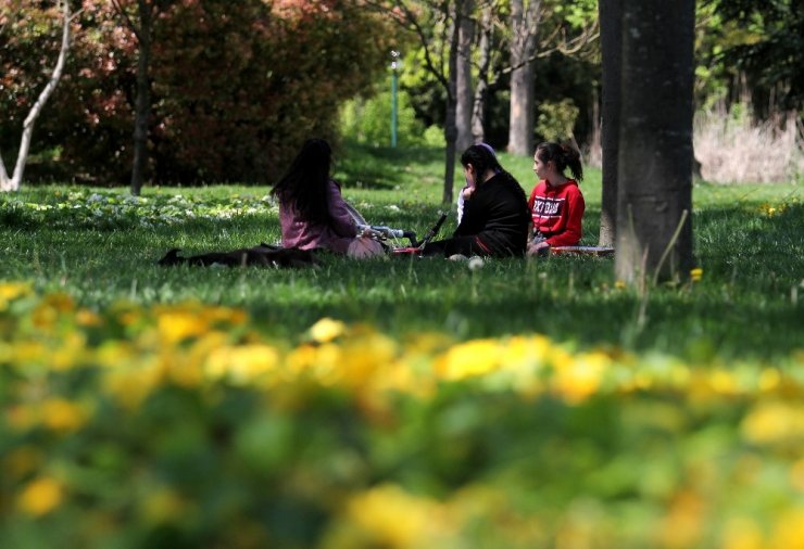 Bursa’da bahar coşkusu