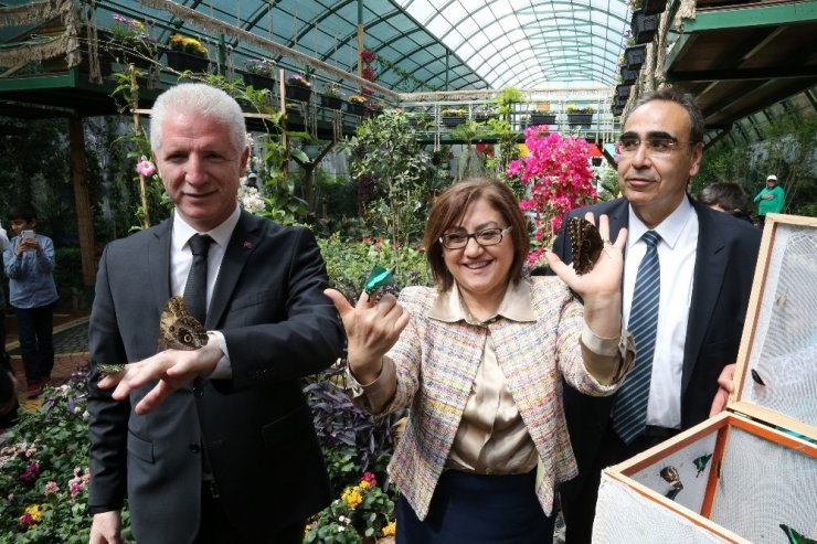 Türkiye’nin ikinci Tropik Kelebek Bahçesi açıldı