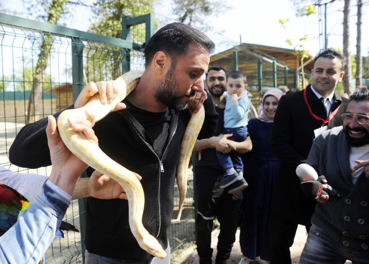 Alişan’ın yılanla imtihanı