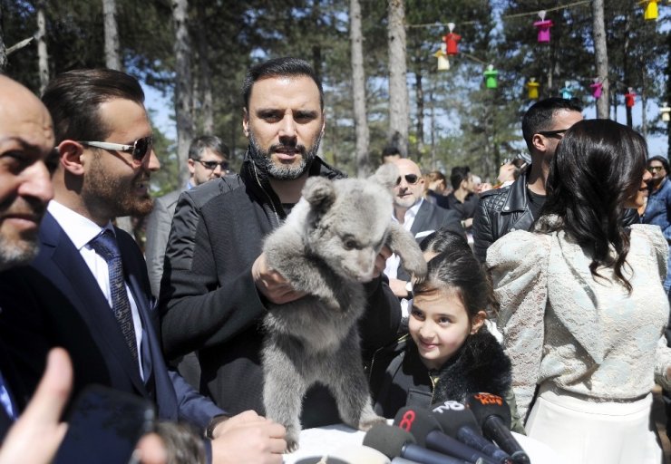 Alişan’ın yılanla imtihanı