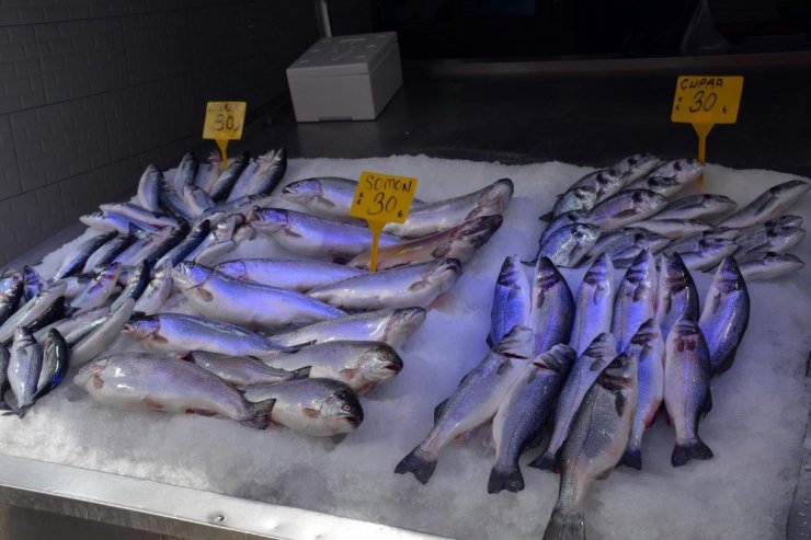 Av yasağının başlamasıyla Sinop’ta balık fiyatları yükseldi