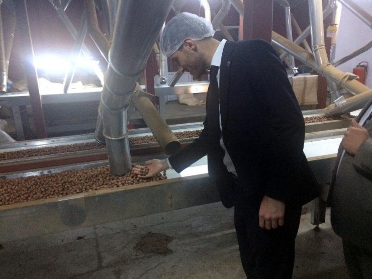 Başkan Karagöl, fındık üreticilerinin sorunlarının çözümü için temaslarda bulundu