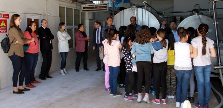 İlköğretim öğrencileri Süt Toplama Soğutma ve Süt Analiz Merkezini gezdi