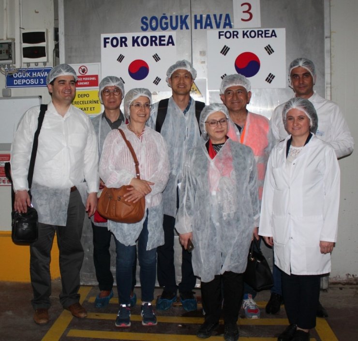 Türk Kirazı Güney Kore yolunda