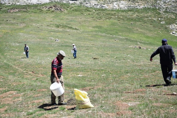 Antalya İl Tarım ve Orman Müdürlüğü’nden mera ıslah çalışmaları