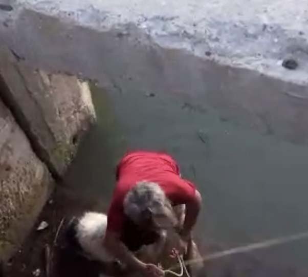 Su kanalına düşen köpek kurtarıldı