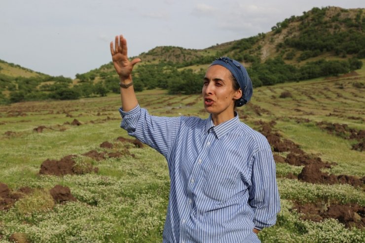 Kadın girişimci Türkiye’nin en büyük ipek böceği üretimi için dut bahçesi kurdu