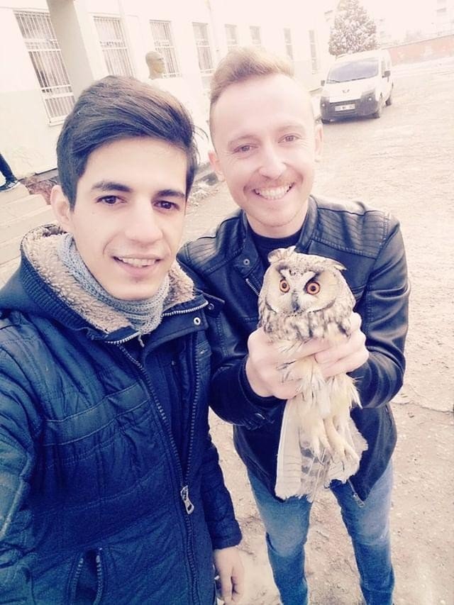 Nesli tükenmekte olan boynuzlu baykuşu yakalayıp selfie çektikten sonra doğaya bıraktılar