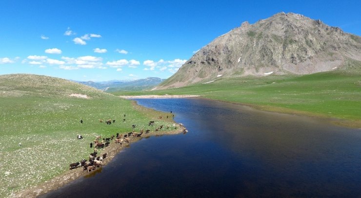 Erzurum Büyükşehir Belediyesi’nden gölet rekoru