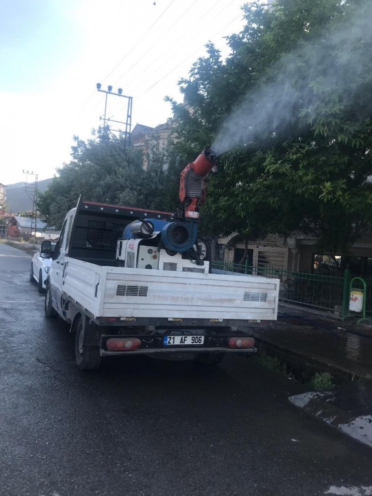 Tatvan Belediyesinden sivrisinekle mücadele çalışması