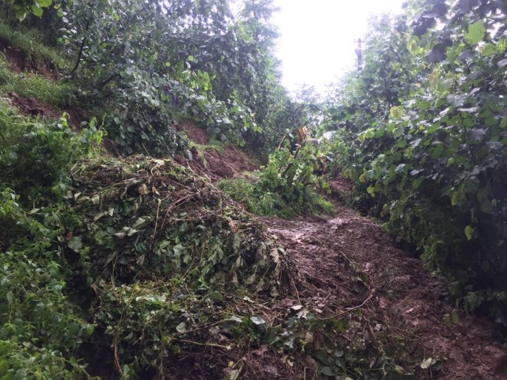 Ordu’da yağmur sonrası yollar kapandı, bahçeler zarar gördü