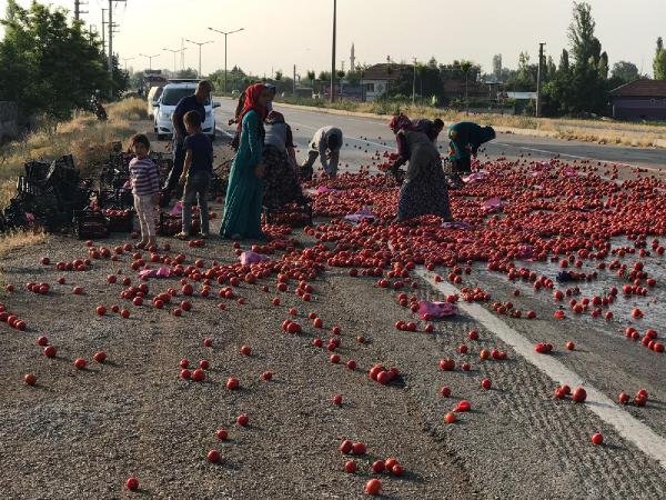 Konya'da tır kontrolden çıktı! Çevredekiler yola saçılan domatesleri toplayıp, evlerine götürdüler