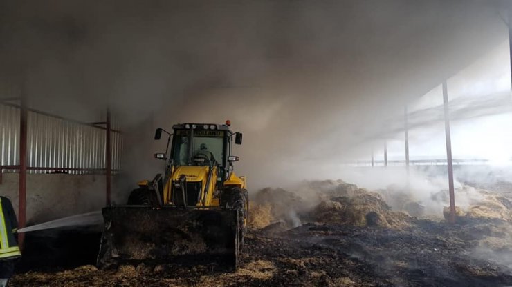 Büyükbaş hayvan çiftliğinde çıkan yangın maddi hasara yol açtı