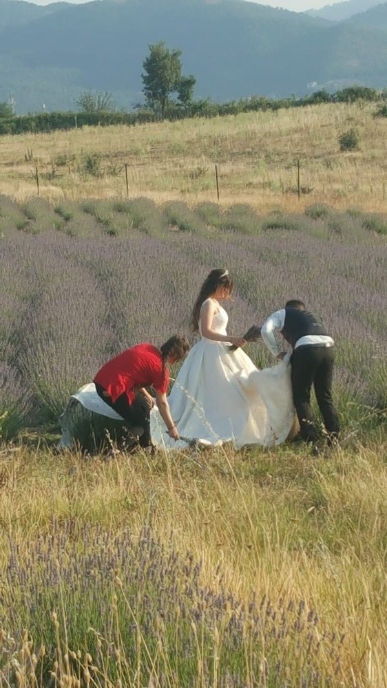 Sındırgı doğası ile Alaçatı’ya rakip olacak