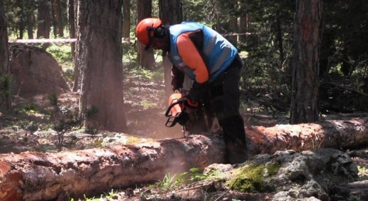 DPÜ AFAMER’in Orman Üretim İşçisi sınavları başladı