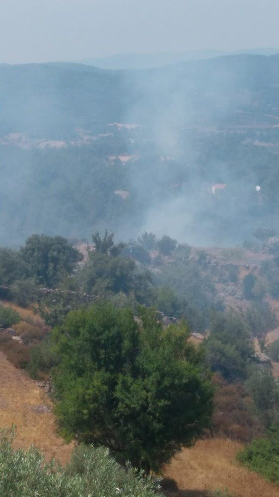 Muğla’da orman ekipleri yangından yangına koşuyor