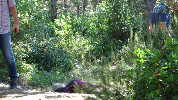 Aydos Ormanı’nda vahşi kadın cinayeti