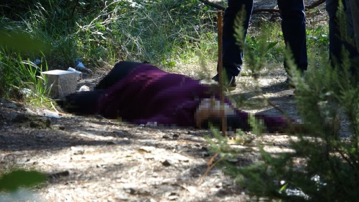 Aydos Ormanı’nda vahşi kadın cinayeti