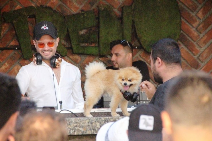 Ozan çaldı, Cem Belevi ve oyuncu sevgilisi eğlendi