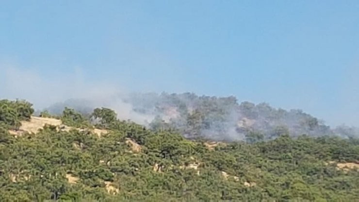 Hozat’ta orman yangını, ekipler müdahale ediyor