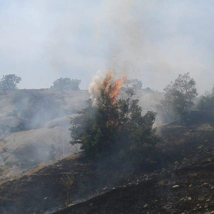 Hozat’taki orman yangını söndürüldü