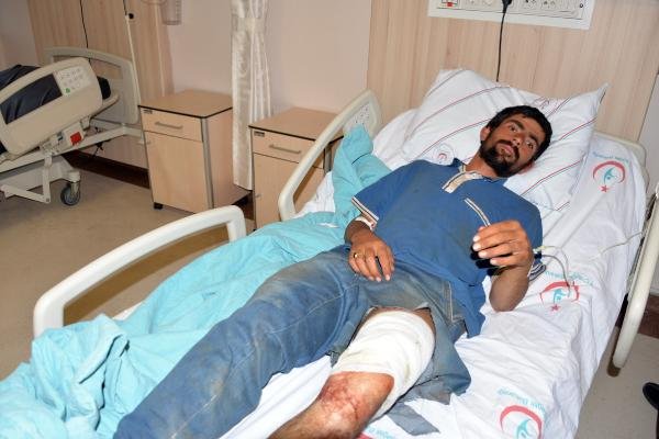 Ayının saldırısına uğrayan Afgan çoban yaralandı