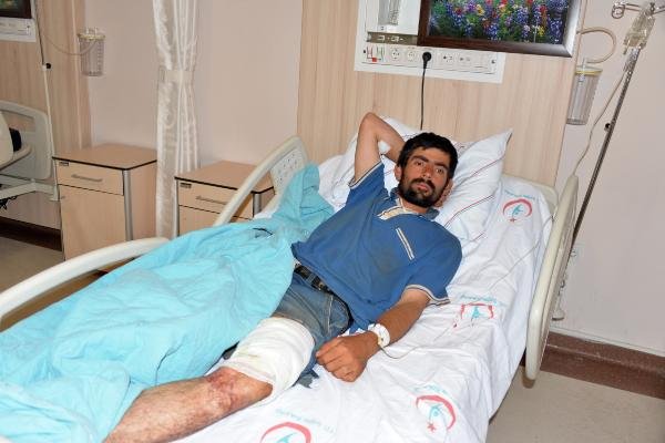 Ayının saldırısına uğrayan Afgan çoban yaralandı