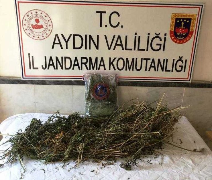 Kuyucak ve Karacasu’da uyuşturucu operasyonları: 3 tutuklama