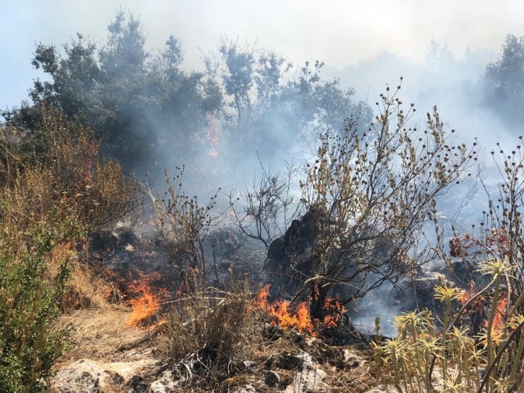 Fethiye’de makilik alanda yangın