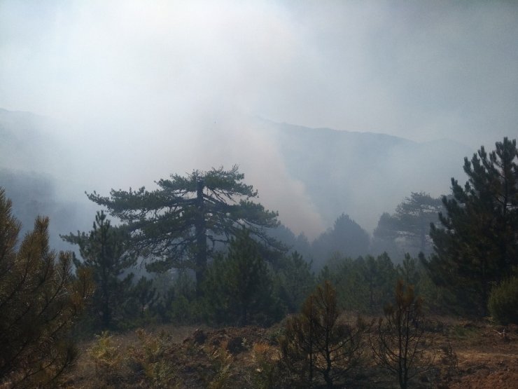 Kütahya’daki orman yangını kontrol altına alındı