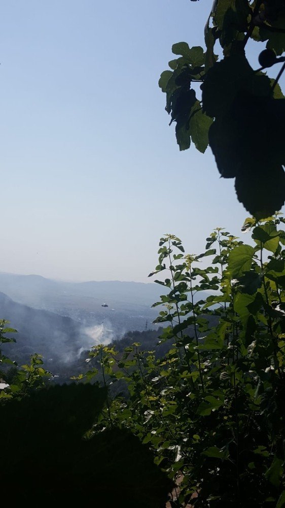 Osmaniye’de 1,5 hektarlık çam ve makilik alan yandı