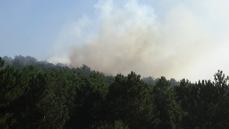 Uşak’taki orman yangından 3 hektarlık alan zarar gördü