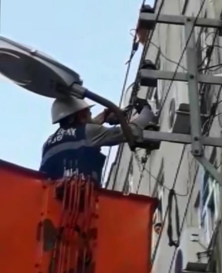 Diyarbakır’da elektrik tellerine takılan güvercini DEDAŞ ekipleri kurtardı