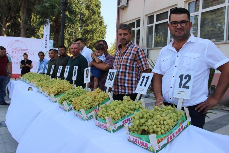Ece Seçkin çizmeyi giydi üzüm suyu çıkardı