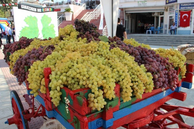 Ece Seçkin çizmeyi giydi üzüm suyu çıkardı