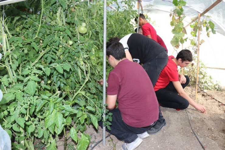 Meslek lisesi öğrencileri okul bahçelerine akıllı sera kurdu