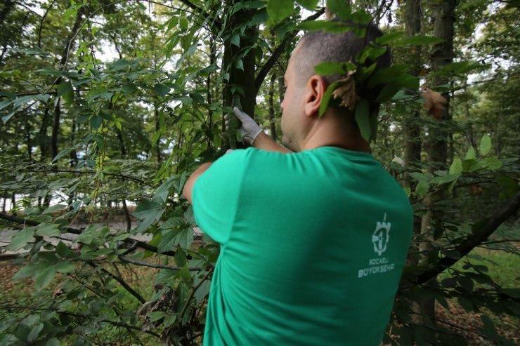 “Bahçemde büyük bir kertenkele var” ihbarı, iguananın yeni evine kavuşmasını sağladı