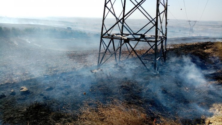 Tekirdağ’da orman yangını: Yüzlerce dönüm alan kül oldu