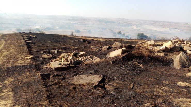 Tekirdağ’da orman yangını: Yüzlerce dönüm alan kül oldu