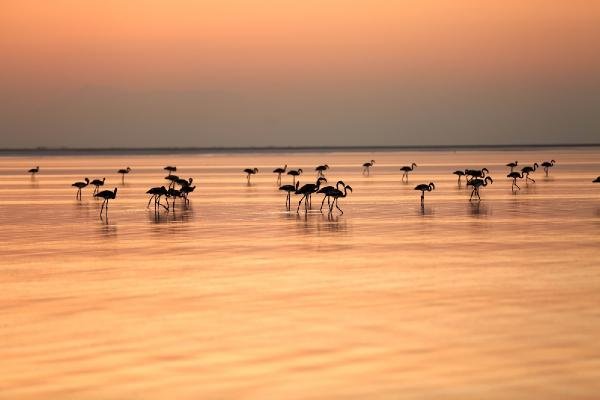 Gün batımında Tuz Gölü'nün eşsiz güzelliği